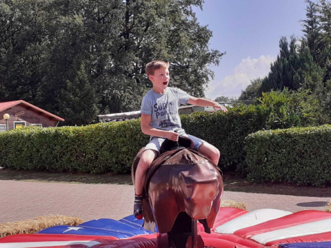 Ragazzo su un toro meccanico a Familiepark de Vechtvallei, parco vacanze a Overijssel, Paesi Bassi, all'aperto.