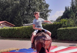 Ragazzo su un toro meccanico a Familiepark de Vechtvallei, parco vacanze a Overijssel, Paesi Bassi, all'aperto.