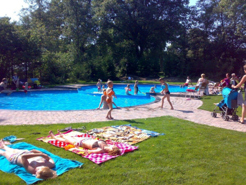 Niños juegan en una piscina al aire libre y personas toman el sol en el césped en Familiepark de Vechtvallei.