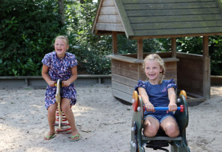 Zwei lachende Kinder spielen auf Wipptieren im Sandkasten im Familiepark de Vechtvallei, Overijssel.