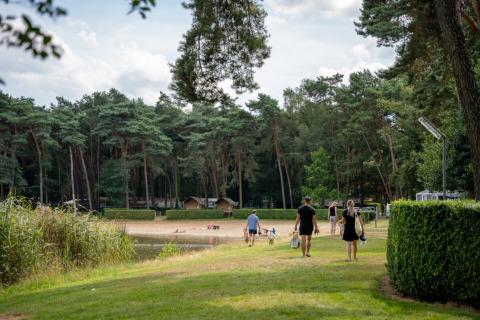 Familias caminan hacia la playa y lago en Familiepark Goolderheide, rodeados de bosque en Limburg, Bélgica.