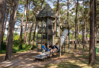 Bambini giocano su una grande torre con scivolo tra gli alberi al Familiepark Goolderheide, Belgio.