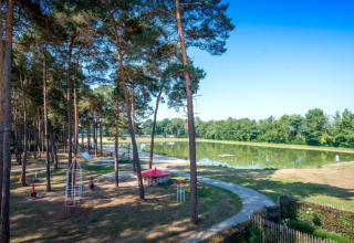Familiepark Goolderheide in Belgian Limburg featuring woodland playground, open green space, path and pond.