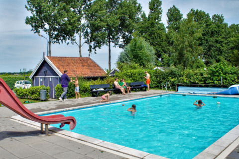 Piscina al aire libre con niños y adultos en Camping Gorishoek, Zelanda, Países Bajos, rodeada de vegetación.