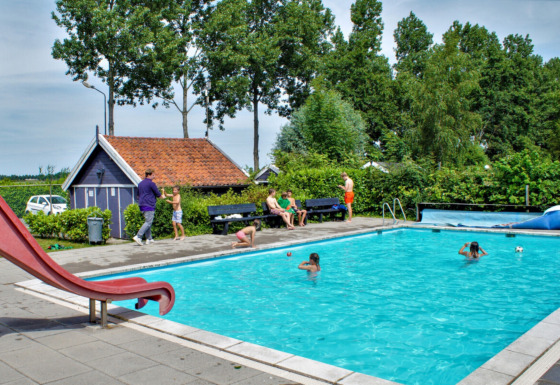 Udendørs swimmingpool med børn og voksne på Camping Gorishoek i Zeeland, Holland, omgivet af grønne træer.
