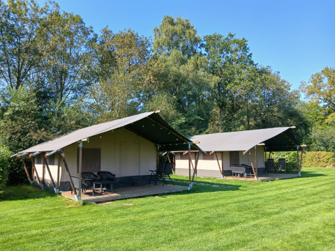 Safari tents at Familiepark de Vechtvallei in the Netherlands, set on green grass with trees in the background.