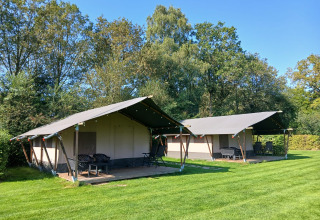 Safari telte ved Familiepark de Vechtvallei i Holland, placeret på græsplæne med træer i baggrunden.