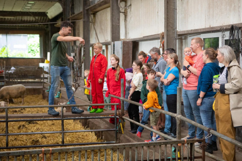 Familien betrachten Tiere und erhalten Erklärungen bei einer Führung auf FarmCamps Mariekerke in Zeeland.