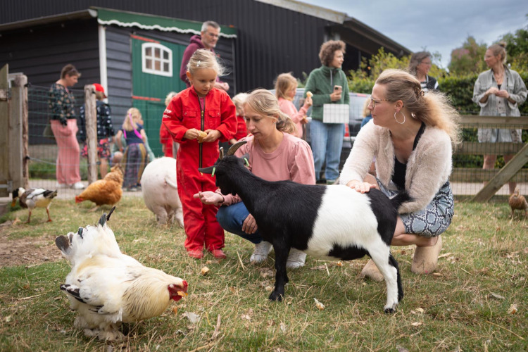 Children and adults interact with goats and chickens at FarmCamps Mariekerke holiday park in Zeeland, Netherlands.