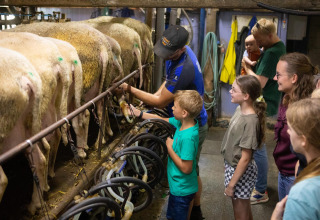 Children and adults learn sheep milking at FarmCamps Mariekerke in Zeeland, Netherlands, during a tour.