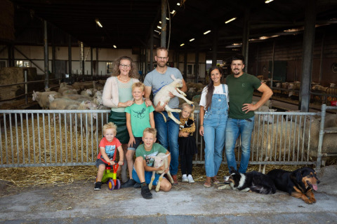 Famille et amis posent avec des moutons, agneaux et chiens dans une grange à FarmCamps Mariekerke, Zélande, Pays-Bas.
