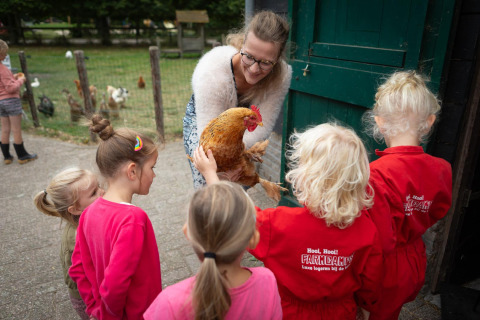 Niños conocen una gallina junto a un adulto en FarmCamps Mariekerke, un parque vacacional en Zeeland.