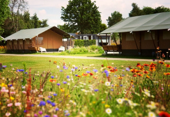 Safaritent met toilet naast kleurrijke bloemenweide midden in een ontspannen natuurlijke kampeeromgeving.