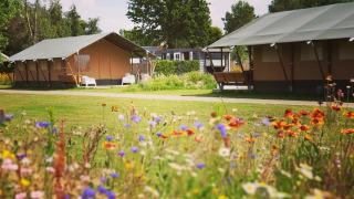 Safaritent met toilet links van een wilde bloemenweide, ideaal voor een rustige kampeerervaring.