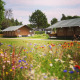 Farverig vild blomstereng foran safari-telt med toilet, placeret i naturskøn camping atmosfære.