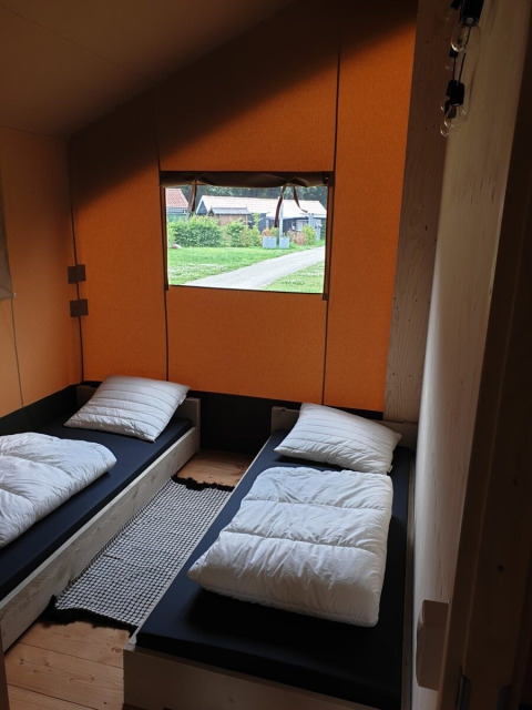 To enkeltsenge i et safari telt med orange vægge på Camping Gorishoek i Holland, udsigt gennem vinduet.