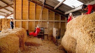 Niños juegan sobre pacas de heno y una cuerda en el granero de FarmCamps t Looveld en Drenthe, Países Bajos.