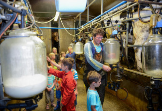 Kinderen en volwassenen beleven hoe koeien gemolken worden op FarmCamps 't Looveld in Drenthe, Nederland.