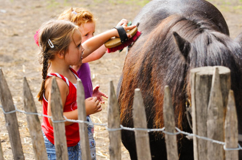 Zwei Kinder bürsten ein schwarzes Pony in einem Pferch im Ferienpark FarmCamps t Looveld, Drenthe, Niederlande.