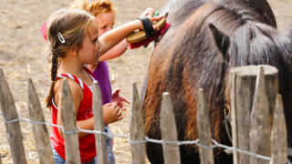 Dos niños cepillan un pony negro dentro de un cercado en FarmCamps t Looveld, parque vacacional en Drenthe, Países Bajos.