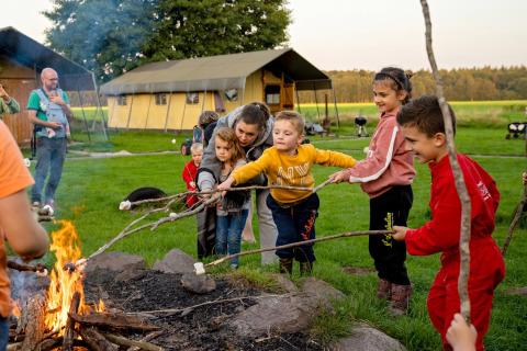 Kinderen roosteren marshmallows boven het kampvuur in FarmCamps t Looveld, vakantiepark in Drenthe.