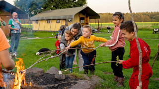 Niños asan malvaviscos en una fogata en FarmCamps t Looveld, un parque de vacaciones en Drenthe.