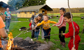 Niños asan malvaviscos en una fogata en FarmCamps t Looveld, un parque de vacaciones en Drenthe.