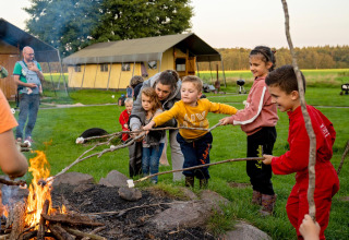 Børn rister skumfiduser over bål på FarmCamps t Looveld, en ferielejr i Drenthe, Holland.