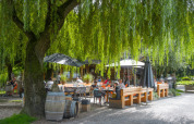 Udendørs caféområde under store træer på Camping Mareveld, Limburg, Holland, med gæster der nyder solen.
