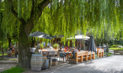 Zona de cafetería al aire libre bajo árboles frondosos en Camping Mareveld, Limburg, Países Bajos, con personas.