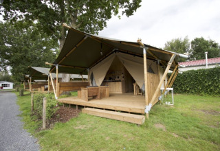 Luxe tent met houten terras bij Camping Mareveld, Limburg, Nederland, omgeven door natuur en groen.
