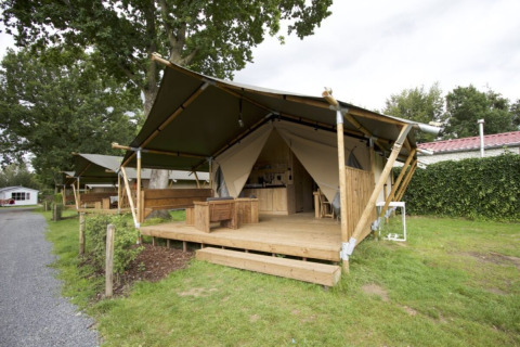 Tienda de lujo con terraza de madera en Camping Mareveld, Limburg, Países Bajos, rodeada de naturaleza.