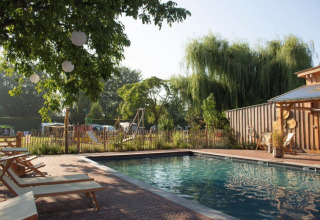 Udendørs swimmingpool med liggestole ved Camping Mareveld feriested i Limburg, Holland, omgivet af træer.