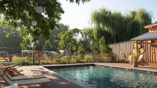 Zona de piscina con tumbonas y árboles en Camping Mareveld, parque vacacional en Limburgo, Países Bajos.