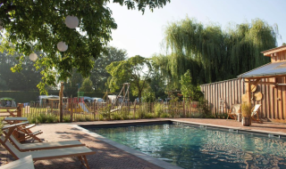Zona de piscina con tumbonas y árboles en Camping Mareveld, parque vacacional en Limburgo, Países Bajos.