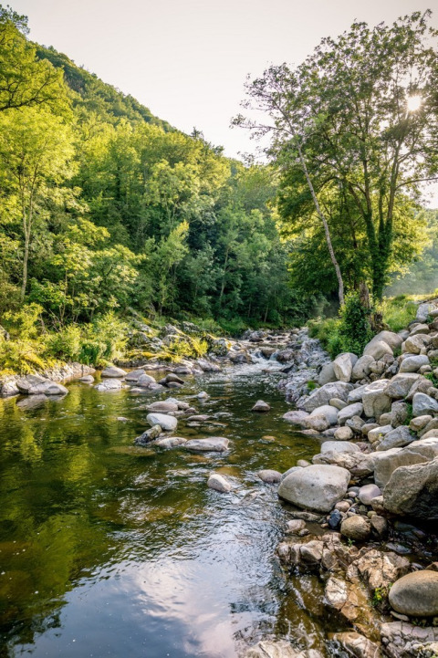 Río con rocas y bosque verde en Camping l'Ardechois, Auvergne-Rhône-Alpes, Francia, bajo el sol matutino.
