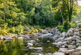 River with rocks and lush forest at Camping l'Ardechois, Auvergne-Rhône-Alpes, France on a sunny morning.