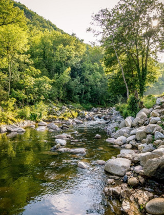 Rivier met stenen en bos bij Camping l'Ardechois, Auvergne-Rhône-Alpes, Frankrijk in de ochtendzon.