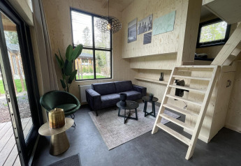Salon de tiny house moderne avec canapé noir, fauteuil vert, murs en bois, grande fenêtre et mezzanine.