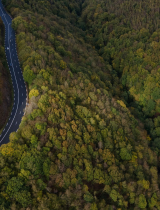 Foto aérea de una carretera sinuosa atravesando un bosque denso cerca de Signy-l'Abbaye, Grand Est, Francia.