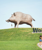 Gran estatua de jabalí llamada Woinic cerca de Signy-l'Abbaye, Grand Est, Francia, con visitantes observando.
