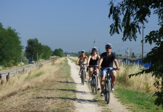 Three cyclists wearing helmets ride along a gravel path near Lido di Pomposa, Italy, surrounded by nature.
