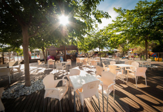 Buitencafé met tafels en stoelen onder bomen bij Vigna sul Mar Family Camping Village in Italië.