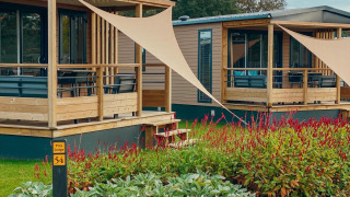 Moderne Tiny Lodge ved Holiday park De Boshoek i Holland med træveranda og farverige blomsterbede.