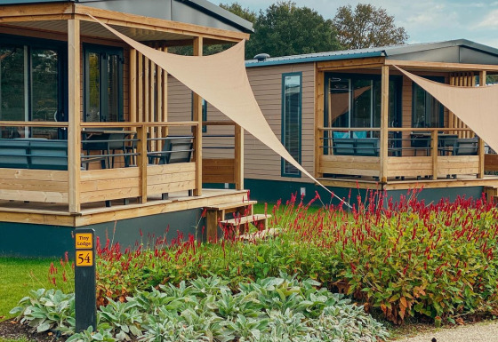 Modernas Tiny Lodges en Holiday park De Boshoek, Países Bajos, con porches de madera y jardines floridos.