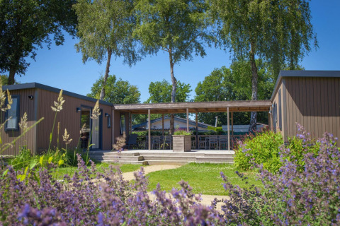 Family Lodge bij Vakantiepark De Boshoek in Nederland, omgeven door bloemen, planten en hoge bomen.