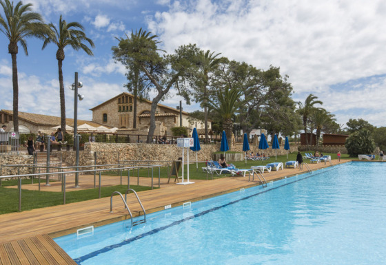 Udendørs swimmingpool med liggestole og palmer på Vilanova Park Campingplads i Catalonien, Spanien.