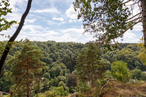 View of lush green forest from Camping Village Sy in Liège, Belgium, beneath a partly cloudy blue sky.