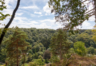 View of lush green forest from Camping Village Sy in Liège, Belgium, beneath a partly cloudy blue sky.