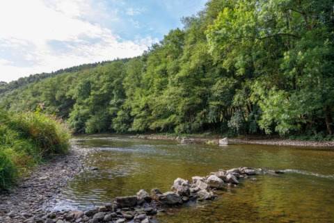 Foto eines ruhigen Flusses mit Steinen und grünen Bäumen im Camping Village Sy in Lüttich, Belgien.